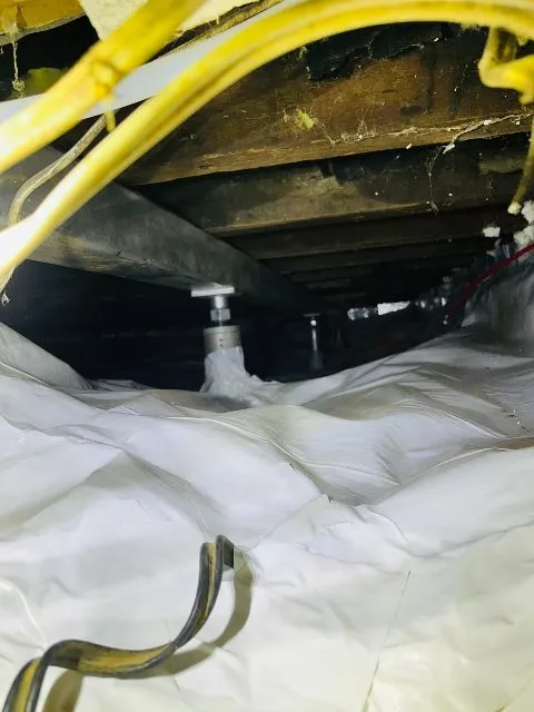 Problème d'isolation et de renforcement dans le vide sanitaire à Montréal, QC Problème d'isolation et de renforcement dans le vide sanitaire à Montréal, QC